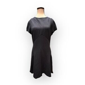 Women’s 12P NWOT Dark Navy Fit & Flare Dress Banana Republic